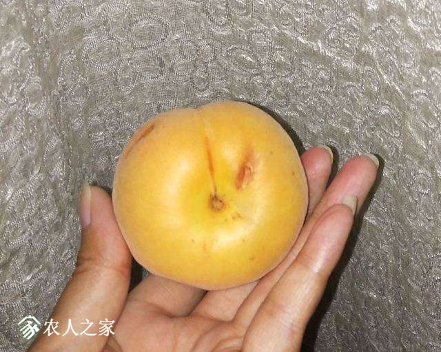 QQͼƬ20180507205406.jpg