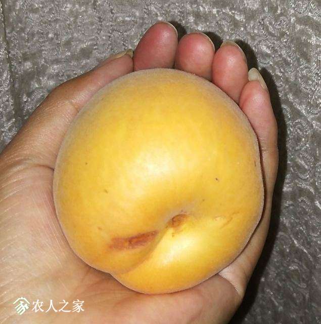 QQͼƬ20180507205414.jpg