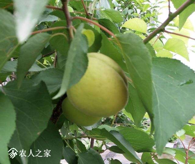 QQͼƬ20180507205423.jpg