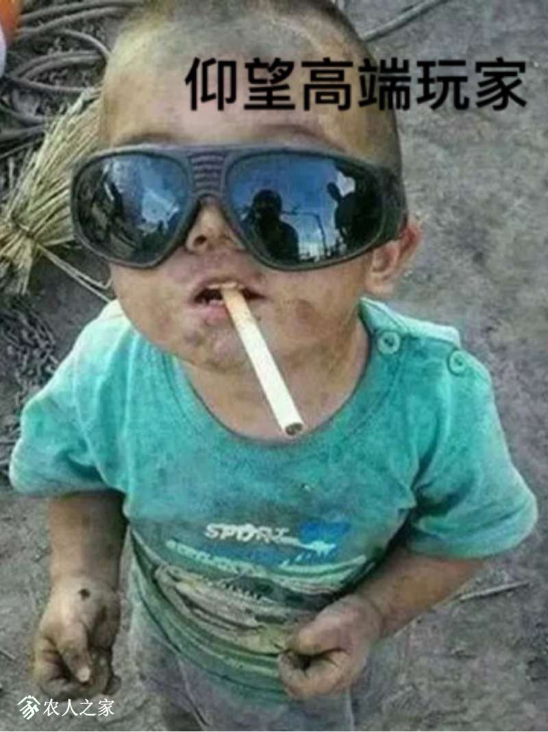 123745nxyww6ry0xys06ww.jpg
