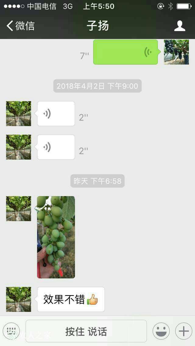 065517gsizssufyktcfkv1.jpg