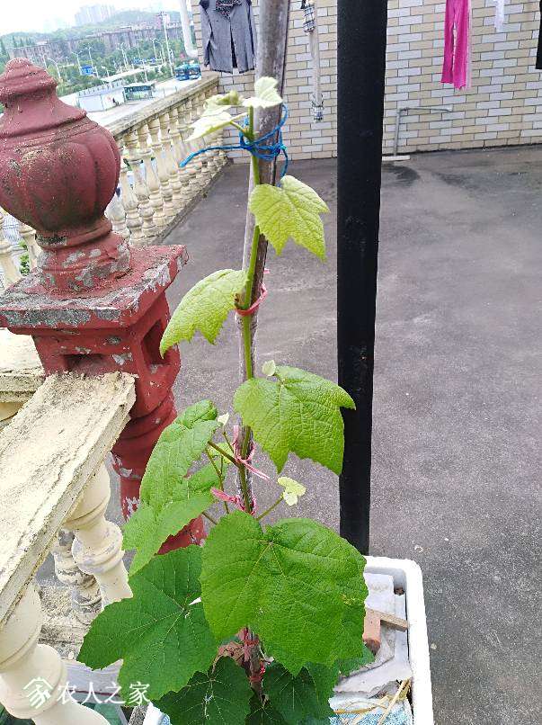 134309scpahfcxatp8jksp.jpg