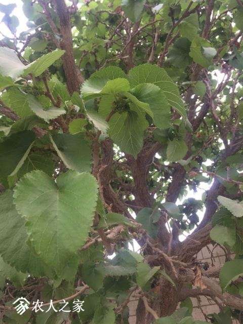 ΢ͼƬ_20180510185737.jpg