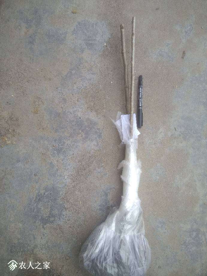 171601rp6dpzxfff59qwdf.jpg