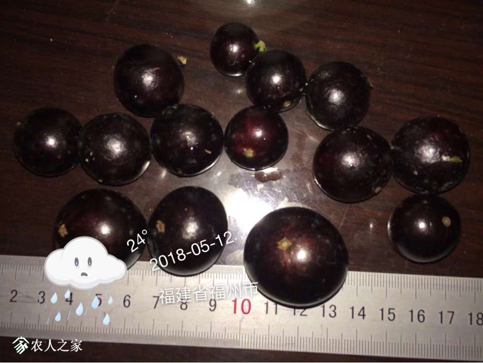 220122berha25g1xje353g.jpg