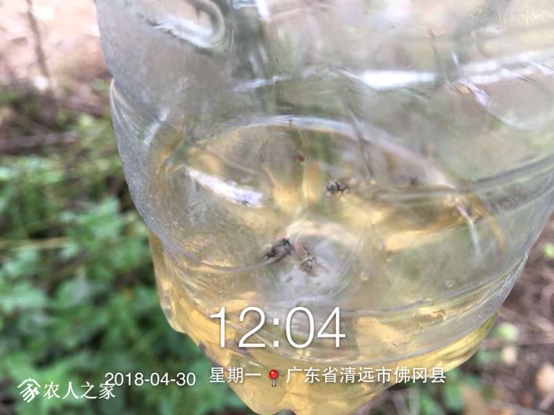 232303ab803ut30ibutwjj.jpg