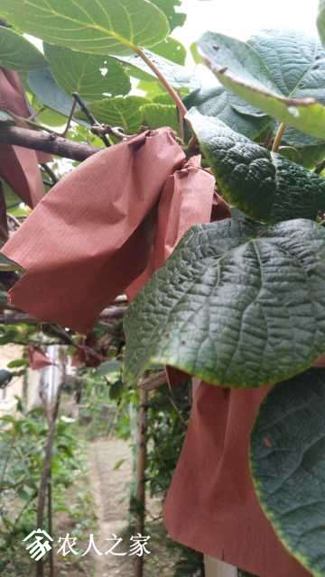 IMG_20180512_123747.jpg