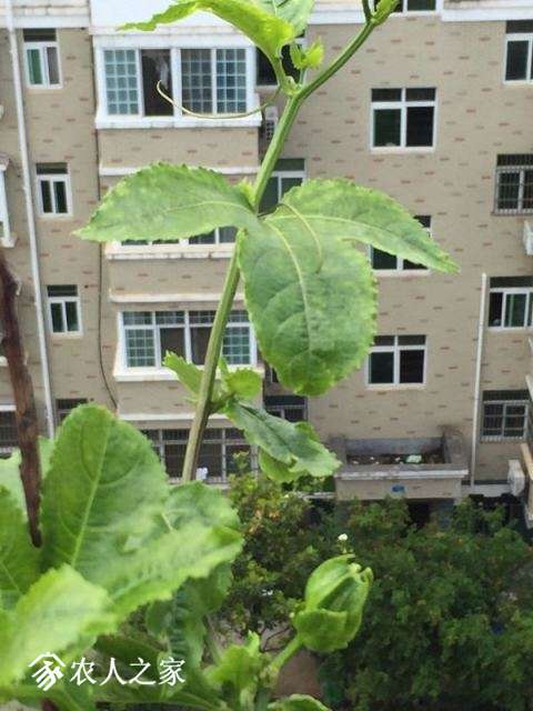 QQͼƬ20180513114435.jpg
