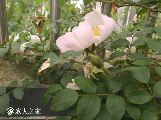 134923zsd6hxyfms4947yp.jpg