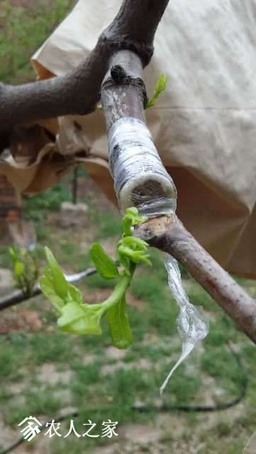 20180501_120855.jpg