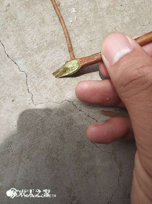 225741rj68zjjpllze9r88.jpg
