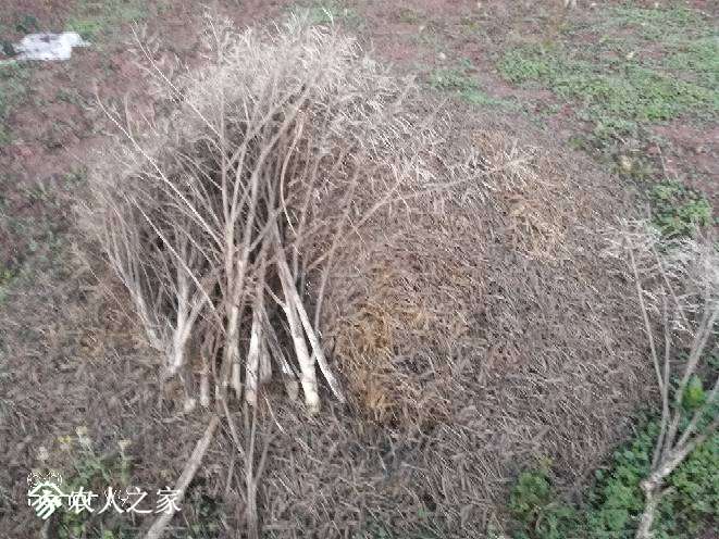 124121g602bzv8kktm3ztk.jpg