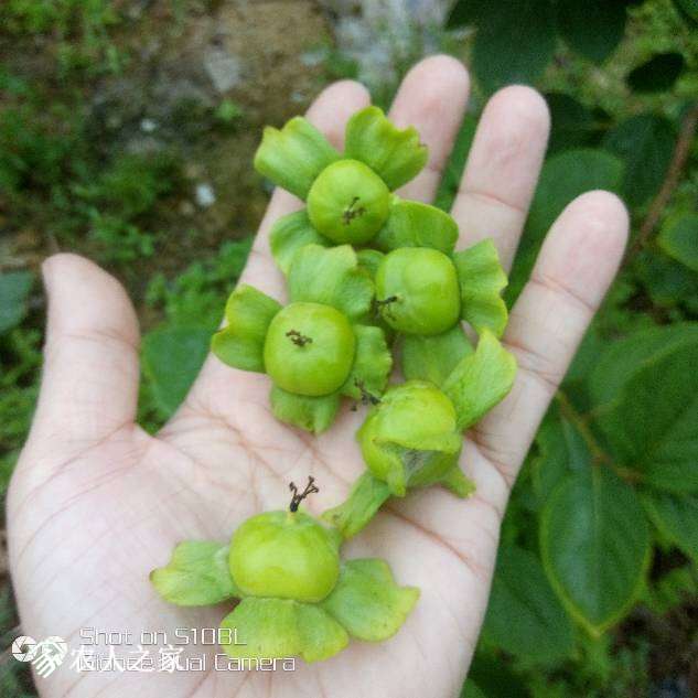 150448gh71l2vjjv1hl7od.jpg