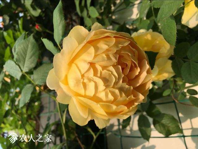 QQͼƬ20180502091515.jpg