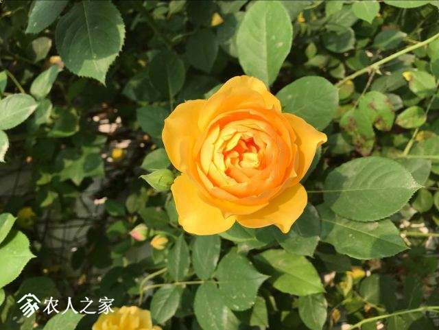 QQͼƬ20180502091519.jpg