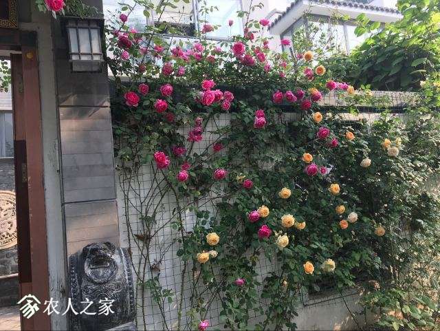 QQͼƬ20180502091524.jpg