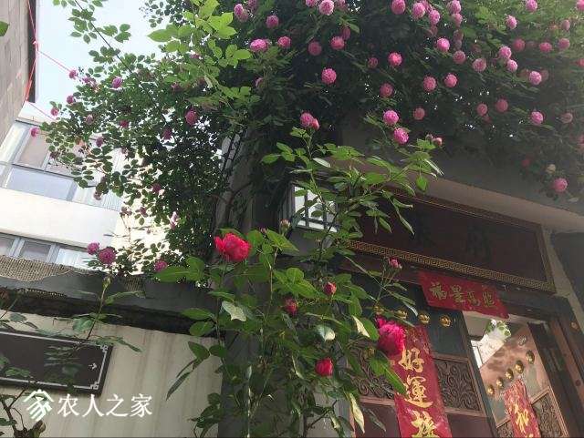 QQͼƬ20180502091529.jpg