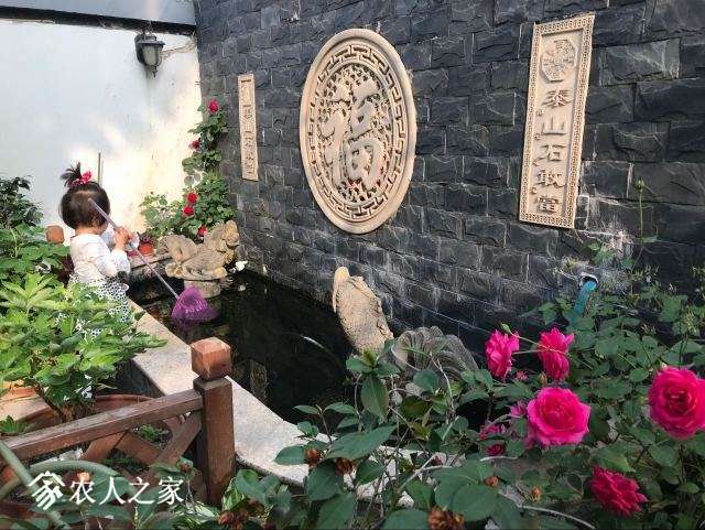QQͼƬ20180502091537.jpg
