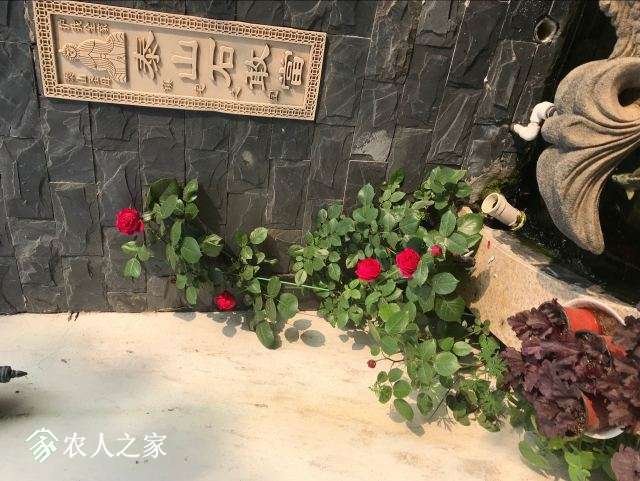 QQͼƬ20180502091542.jpg