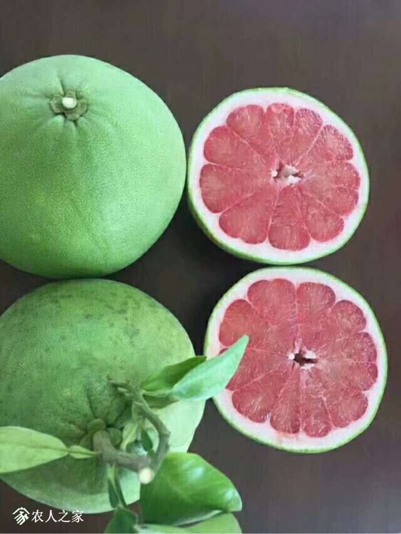 001326bze1w9j43tibtctt.jpg