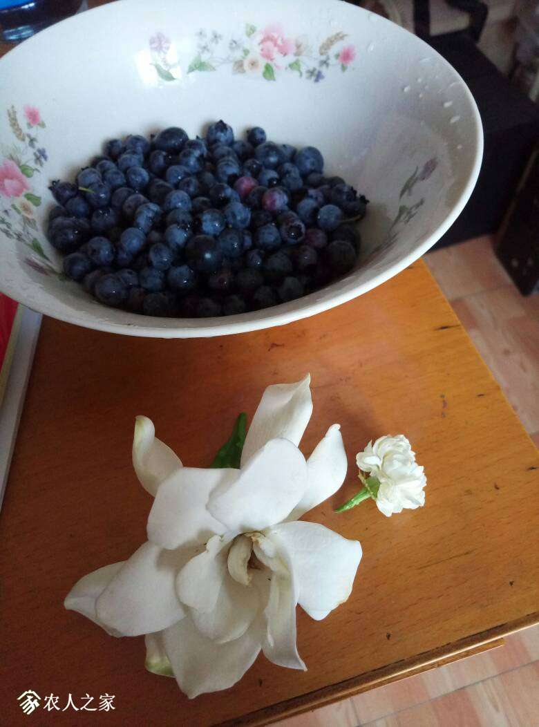 120844yvbsbb911kvtymjz.jpg