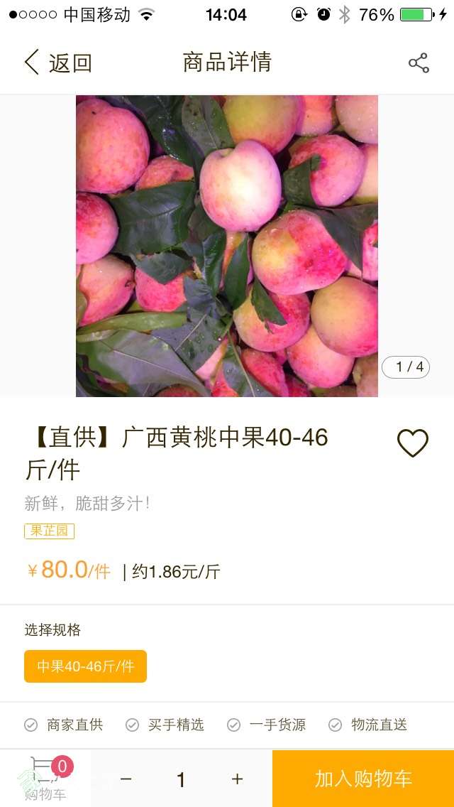 101736hsjjfycwe5wjvcjw.jpg