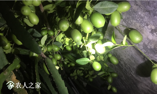 ΢��ͼƬ_20180518231409.png