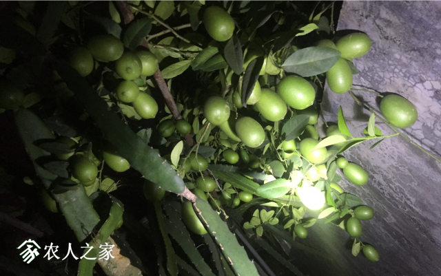΢��ͼƬ_20180518231421.png