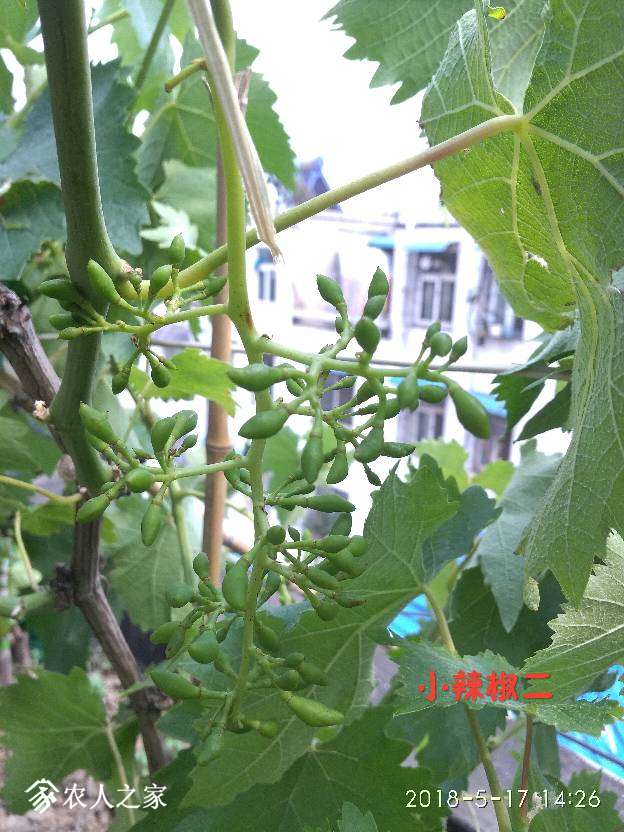 155447m11yt9hyyt29h27m.jpg