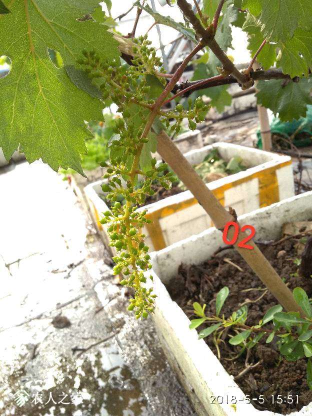 193607e0q80chyhz04h3jj.jpg