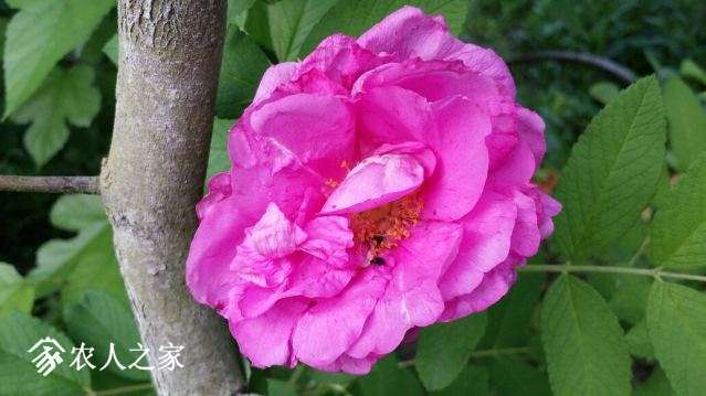 20180509_165137_resized.jpg