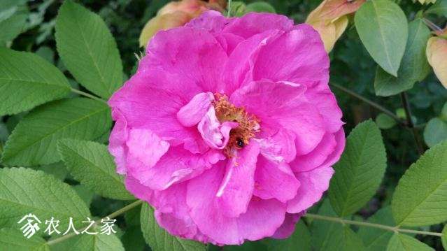 20180509_165151_resized.jpg