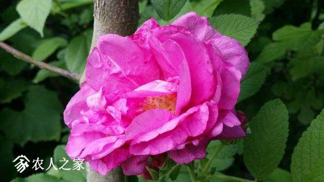 20180509_165247_resized.jpg