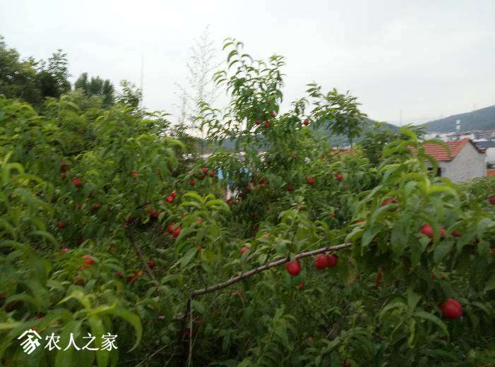 080851b0k899ez7eute8q0.jpg