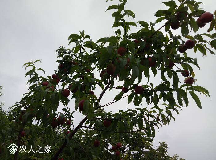 080932jc6h2ki19aoi3j9o.jpg