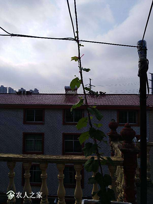 081408fke5zb30zgeik36z.jpg