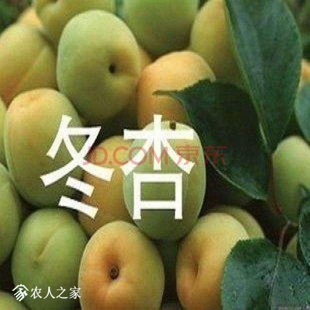 553daa88Ne97546c2.jpg