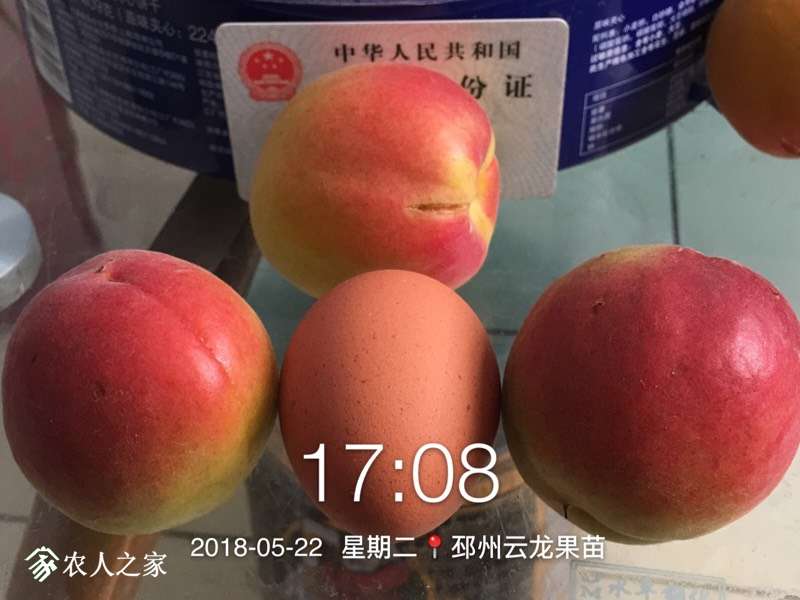 172804y1qzmoo2ao25mboq.jpg
