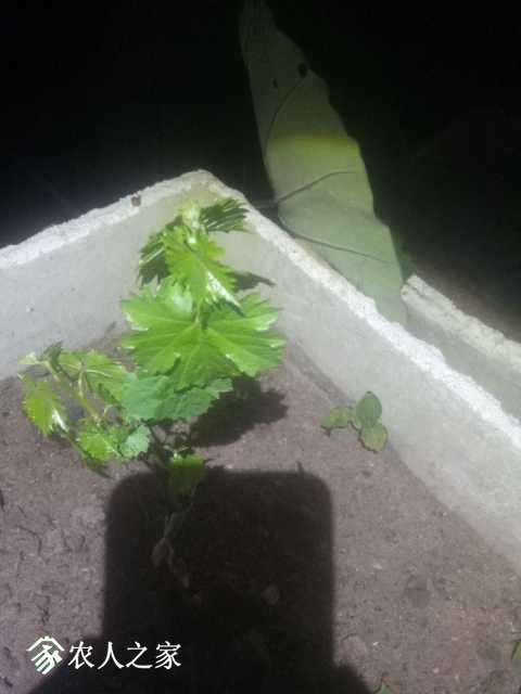 IMG20180522232952.jpg