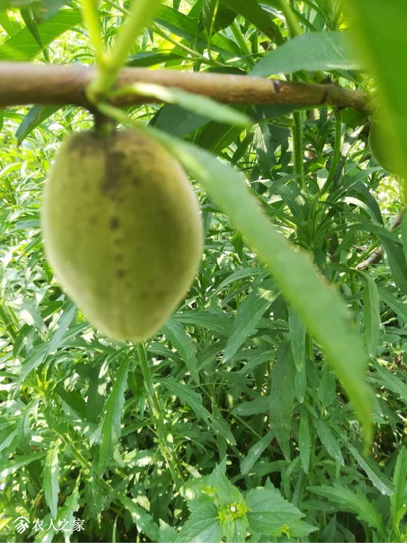 151315ypulcpspqjltybzf.jpg