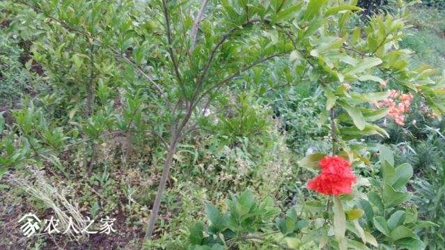 20180522_173448_resized.jpg