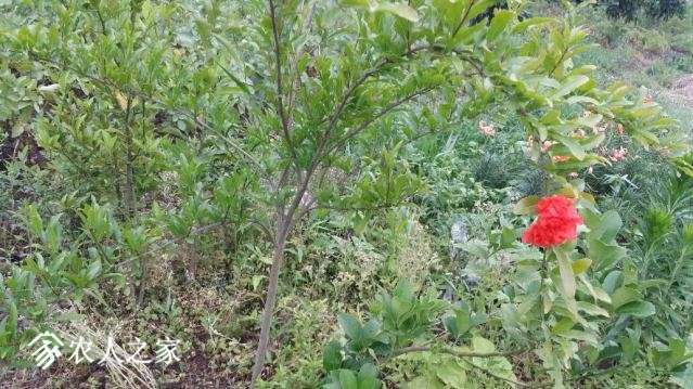 20180522_173523_resized.jpg
