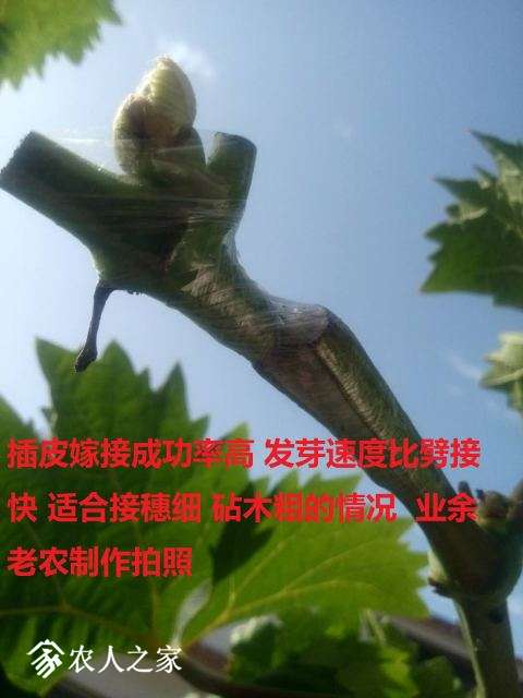 ΢ͼƬ_20180525171851.jpg