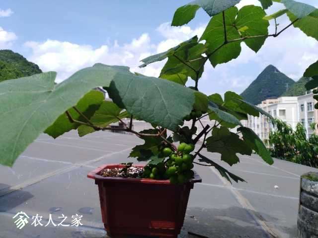 IMG_20180516_143532.jpg
