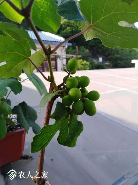 IMG_20180516_171504.jpg