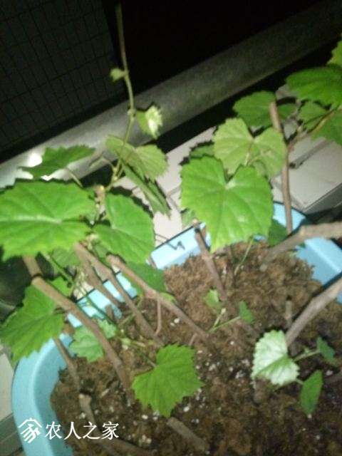 IMG20180517224452.jpg