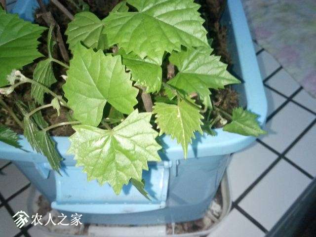 IMG20180513215725.jpg