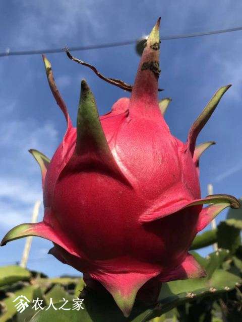 ΢ͼƬ_20180529095545.jpg