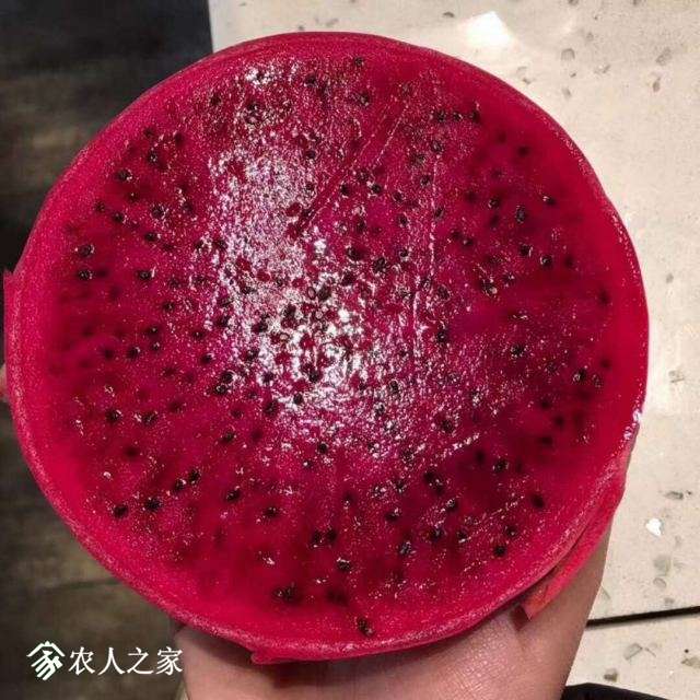ϺĻ