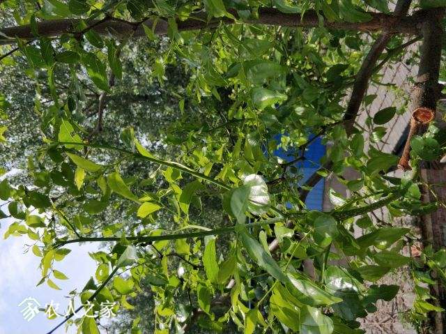 ͼƬIMG_20180530_123658.jpg